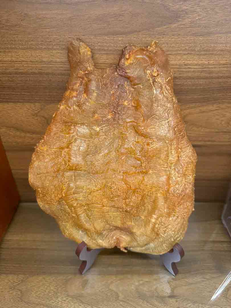 回收品類