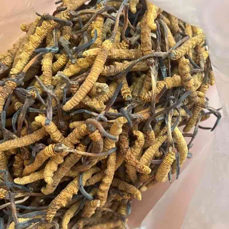 收購零散斷草穿簽草