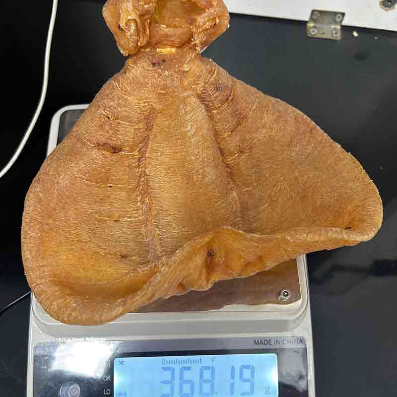 收購扎膠與蜘蛛膠