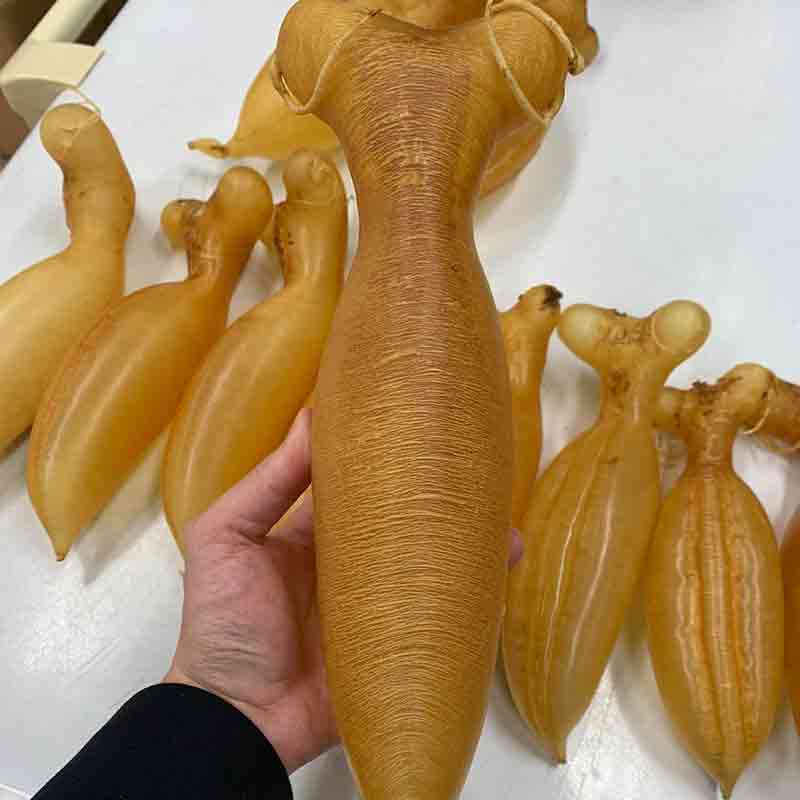 收購陳年老花膠