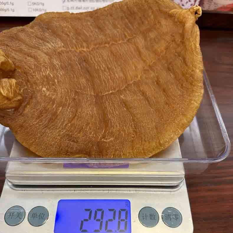 收購赤嘴膠